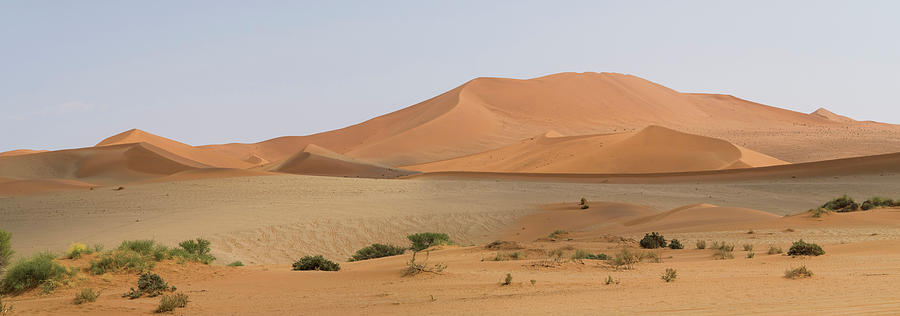 Color Image Photograph - Sand Dunes In A Desert, Sossusvlei by Panoramic Images Color Image Photograph - Sand Dunes In A Desert, Sossusvlei by Panoramic Images