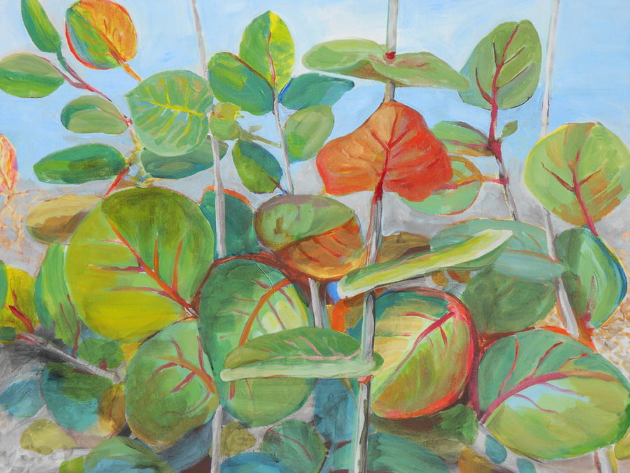 Sea Grapes Painting by Daniel Gale