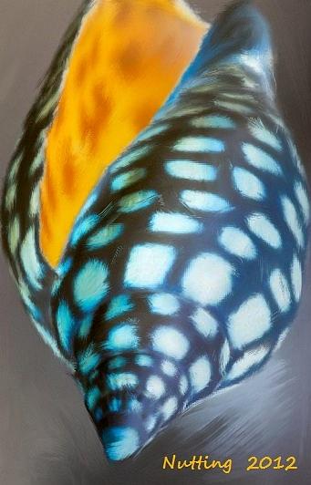Shell Painting - Sea Shell #3 by Bruce Nutting