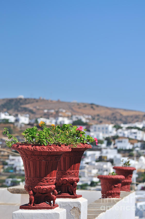 Flowerpots In Sifnos Island Photograph