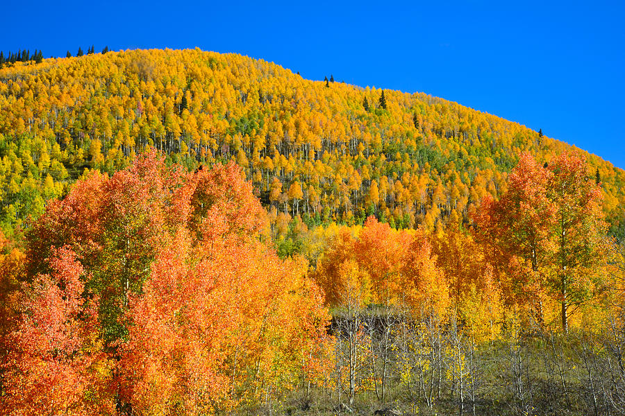 Silverton Fall Colors #6 Photograph by Ray Mathis