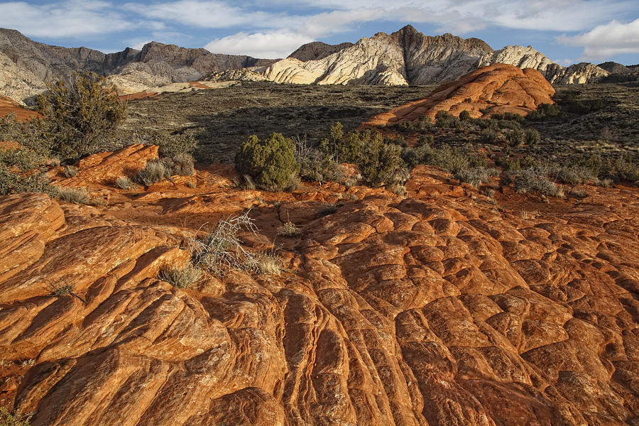 Snow Canyon State Park Utah #3 Photograph by Douglas Pulsipher