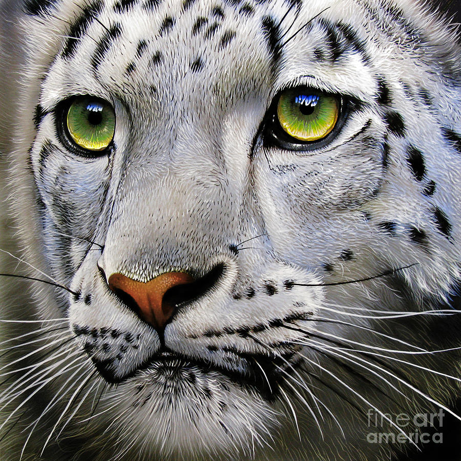Leopard Painting - Snow Leopard #3 by Jurek Zamoyski