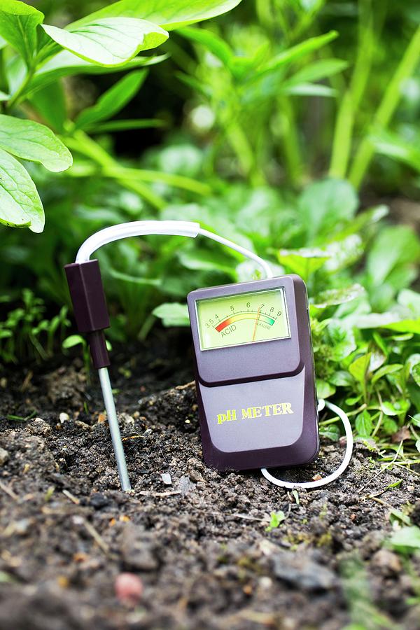 Nature Photograph - Soil Ph Meter #3 by Science Photo Library