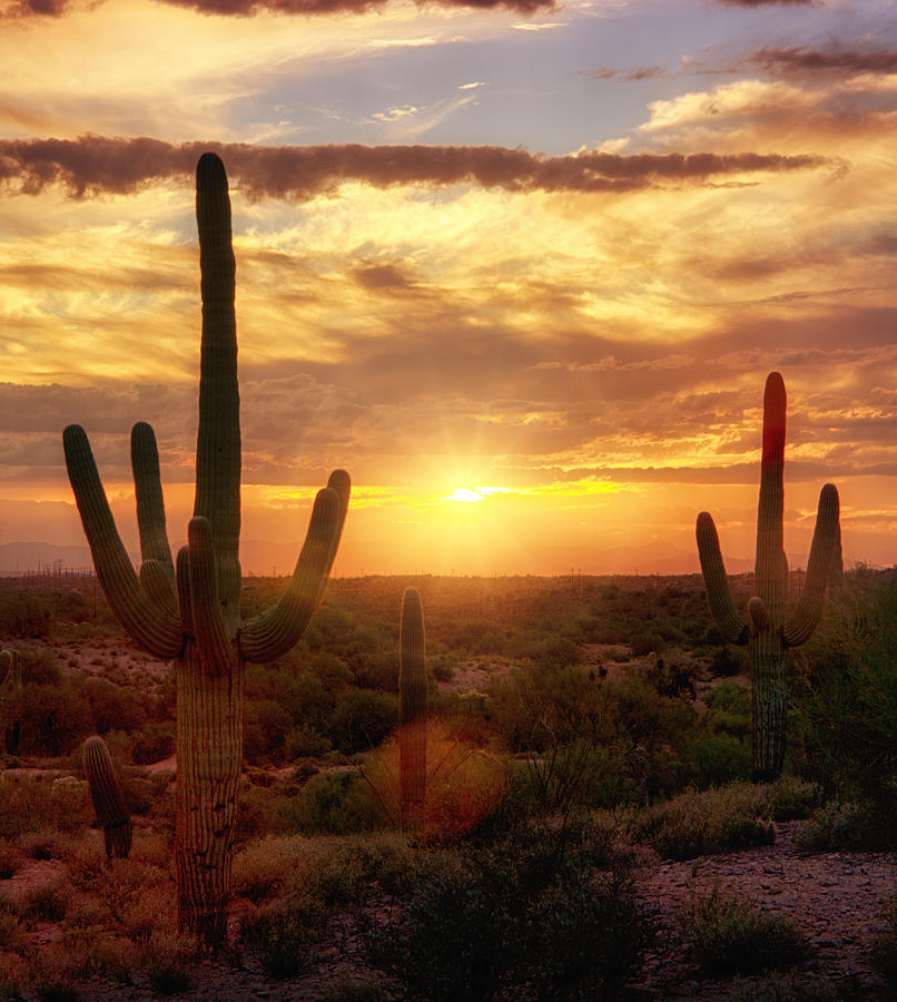 Sonoran Skies Photograph by Saija Lehtonen | Fine Art America