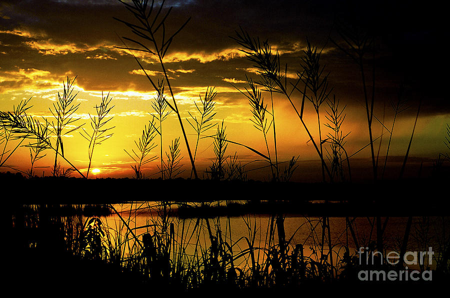 Sunset Photograph - South Carolina Sunset  #3 by Thomas R Fletcher