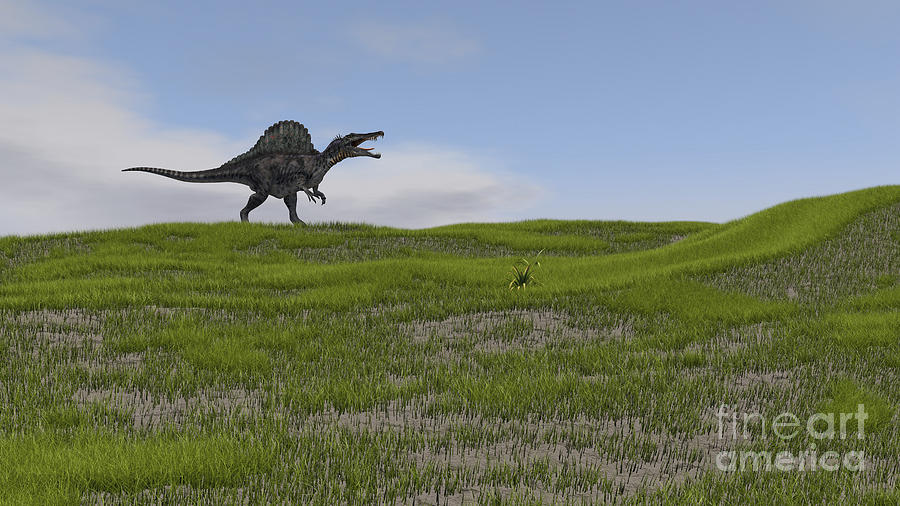 Spinosaurus Walking Across A Grassy #3 Digital Art by Kostyantyn Ivanyshen