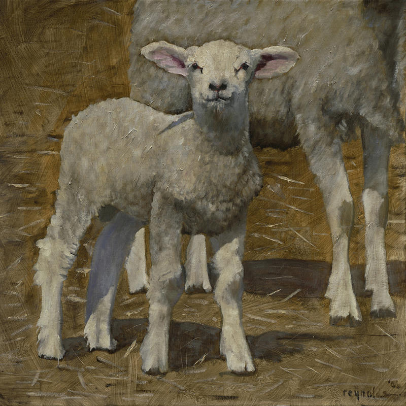 Spring Lamb #3 Painting by John Reynolds