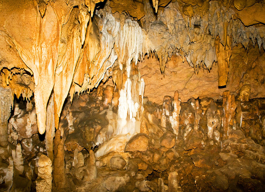 Stalactite Formations In Florida #3 Photograph by Millard H. Sharp