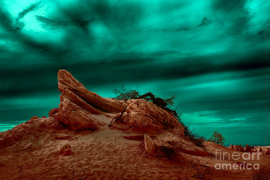 Desert Landscape Photograph - Stay With Me #3 by Julian Cook