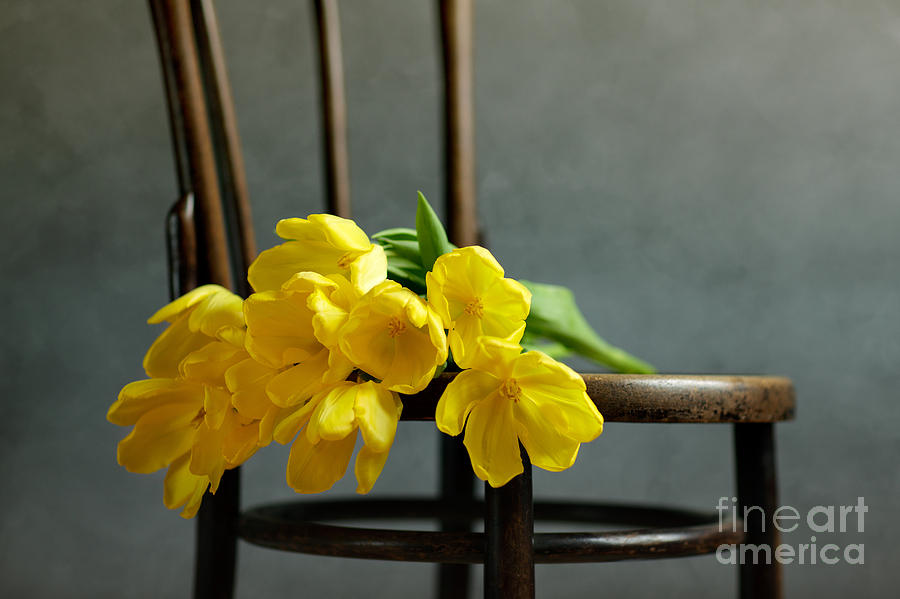 Still Life Photograph - Still Life with Yellow Tulips #3 by Nailia Schwarz