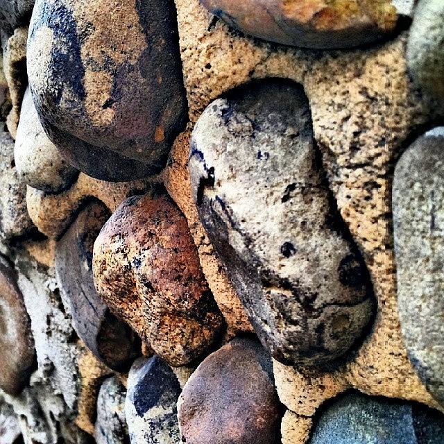 Stone Wall #3 Photograph by Elisa Franzetta