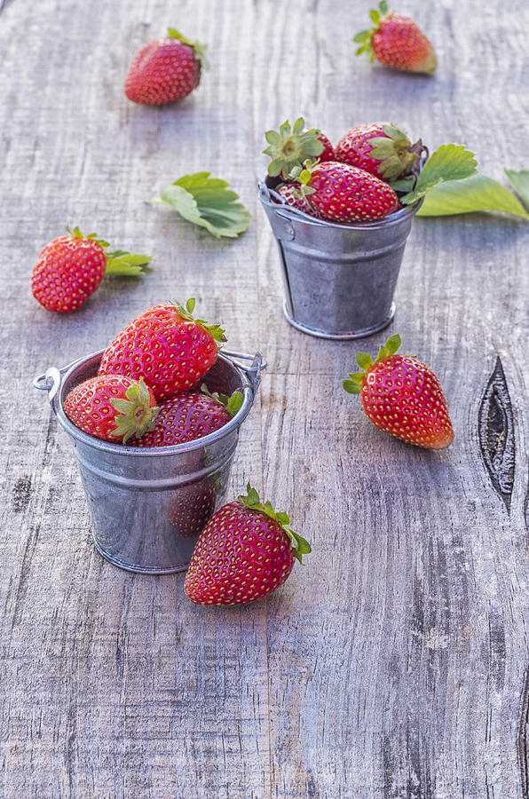 Strawberries in pots #3 Photograph by Paulo Goncalves