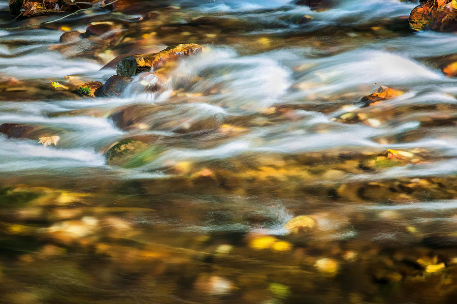 Landscape Photograph - Stream Fall Colors Great Smoky Mountains Painted  #3 by Rich Franco