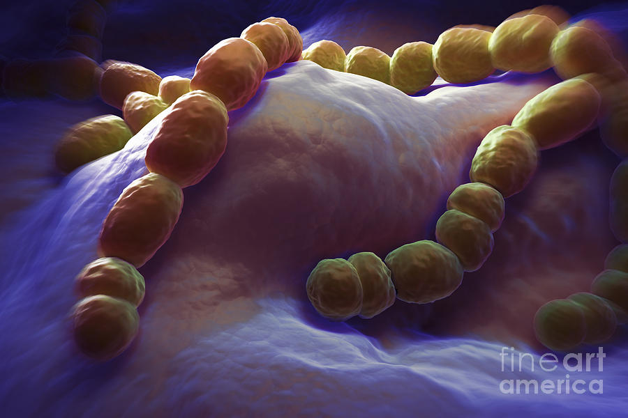 Streptococcus Pneumoniae #3 Photograph by Science Picture Co
