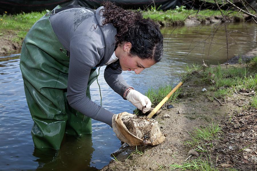 Student Studying River Ecology Photograph by Jim West - Fine Art America