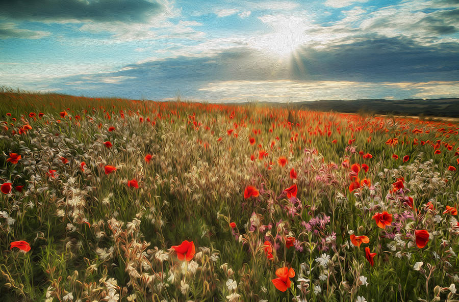 Poppy Photograph - Stunning poppy field landscape digital painting #3 by Matthew Gibson