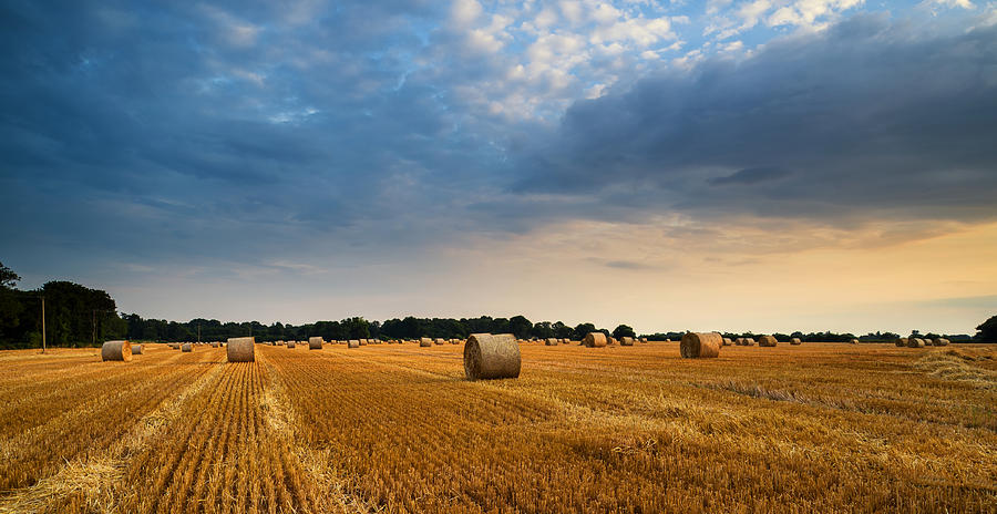 Stunning Summer landscape of hay bales in field at sunset #3 Photograph ...