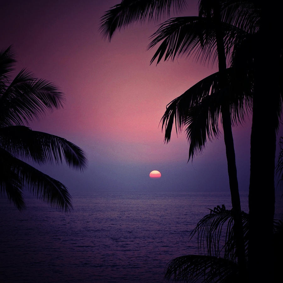 Sultry Sunset Photograph by Natasha Marco