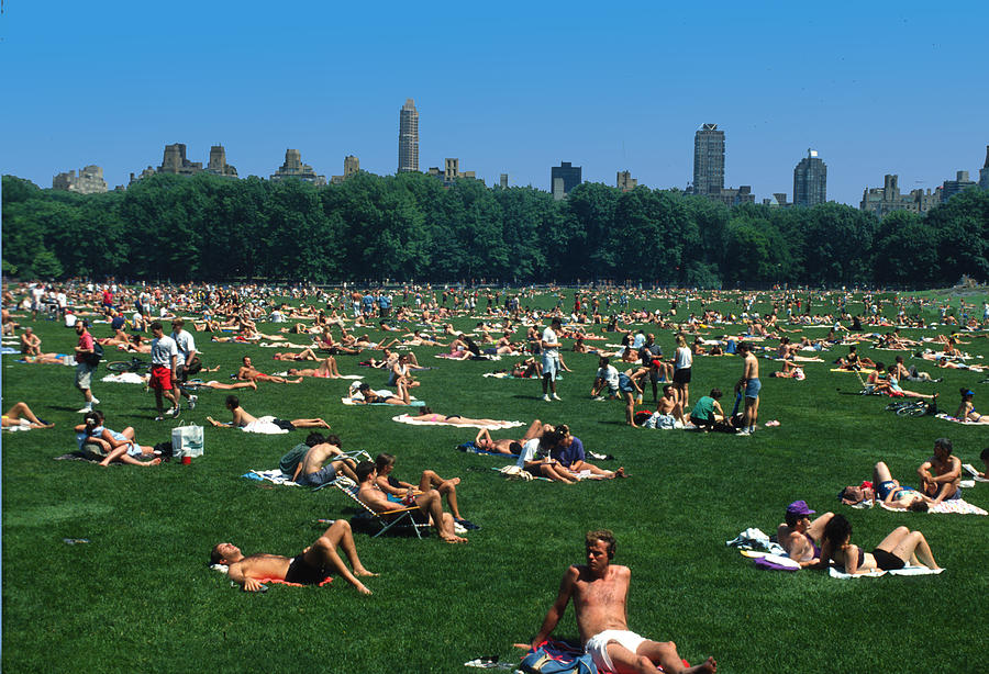 Topless In Central Park On Sunday Photograph By Carl Purcell Pixels