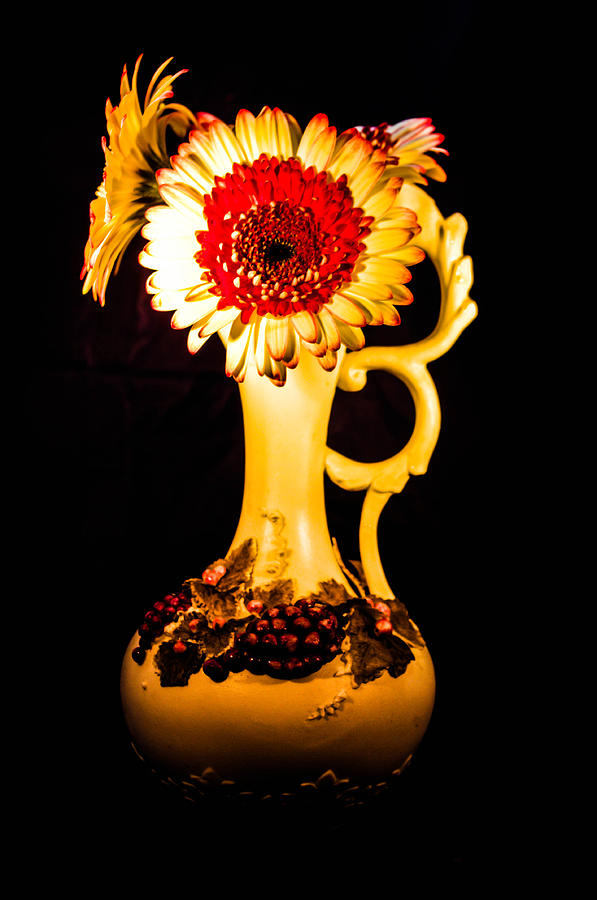 Sunflower #3 Photograph by Gerald Kloss