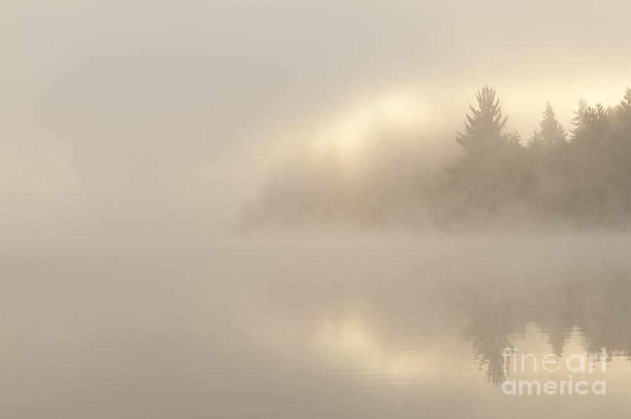Sunrise lake in fog with trees shrouded in mist  #3 Photograph by Jim Corwin
