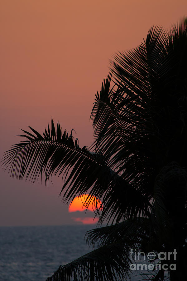 Holiday Photograph - Sunset on Kuta beach Bali Indonesia #3 by Fototrav Print