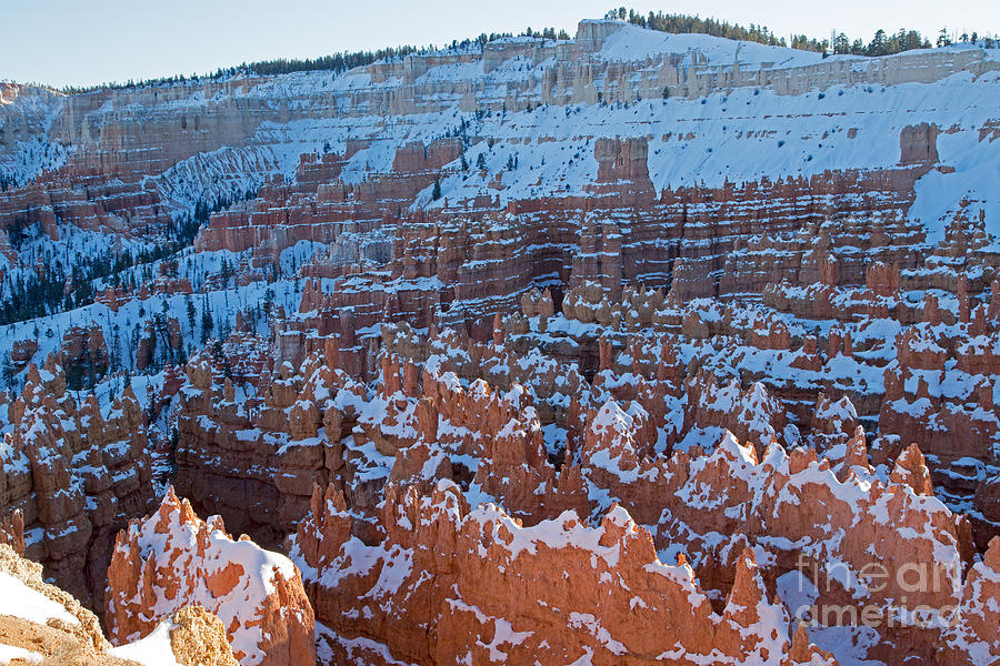 Sunset Point Bryce Canyon National Park #3 Photograph by Fred Stearns
