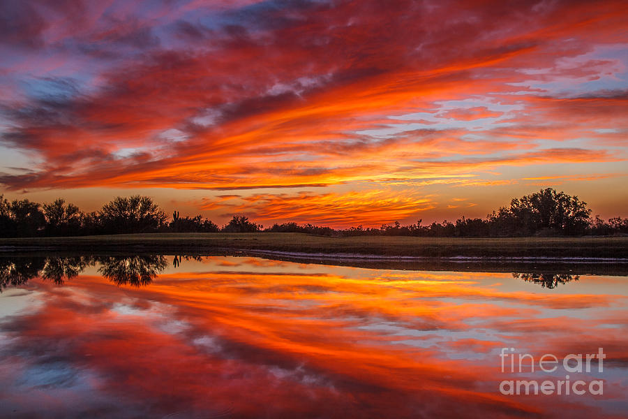 Sunset Reflections #3 Photograph by Robert Bales