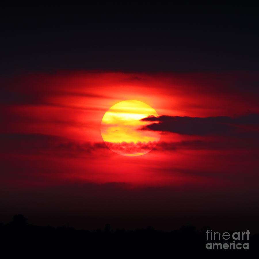 Sunset sun Photograph by Konstantin Sutyagin - Fine Art America