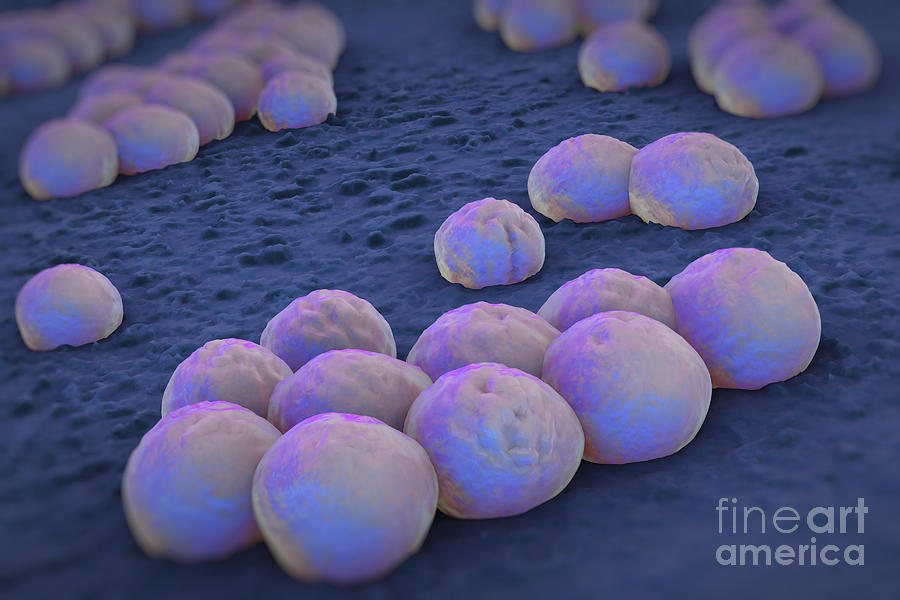 Pathogen Photograph - Superbug Mrsa #3 by Science Picture Co