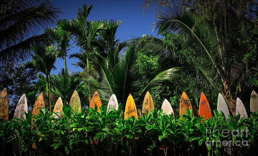 Surf Board Fence Maui Hawaii #5 Photograph by Edward Fielding