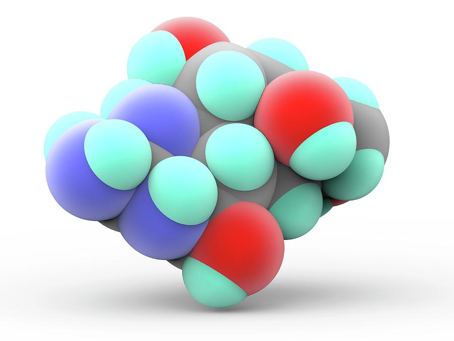 Tetrodotoxin Ttx Neurotoxin Molecule #3 by Science Photo Library