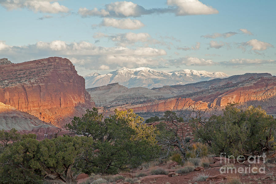 The Goosenecks Capitol Reef National Park Photograph by Fred Stearns