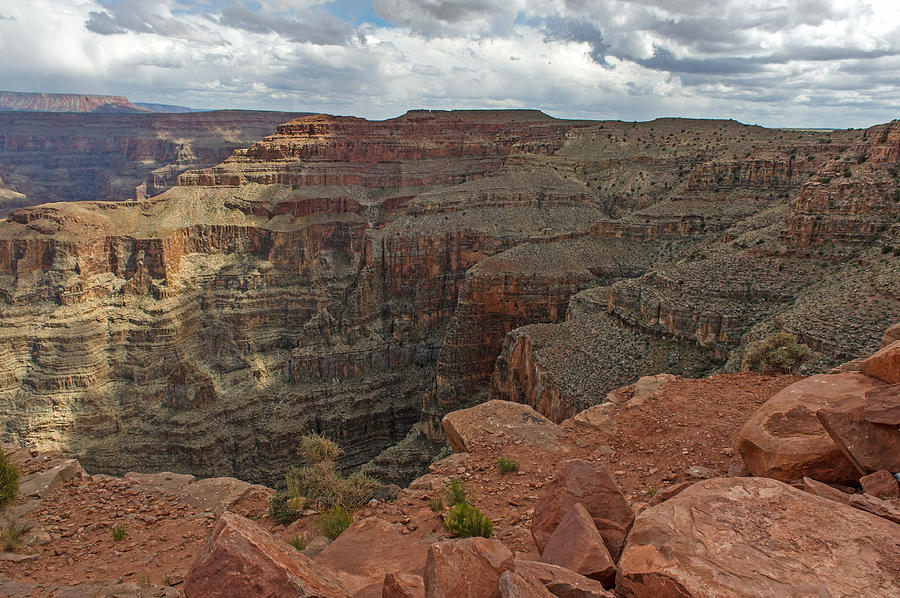 The Grand Canyon #3 Photograph by Willie Harper