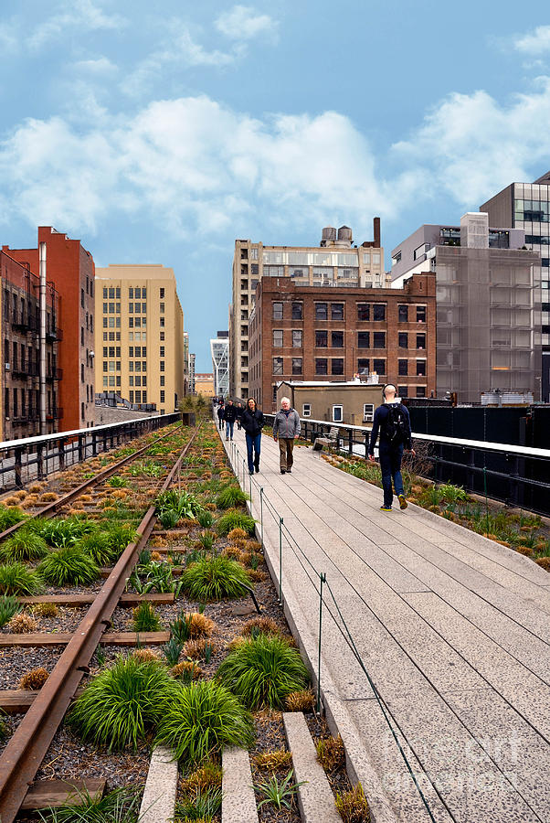 New York City Photograph - The High Line Urban Park New York Citiy #3 by Amy Cicconi