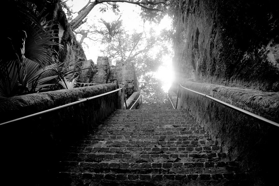 The Queens Staircase #3 Photograph by Damion Lawrence