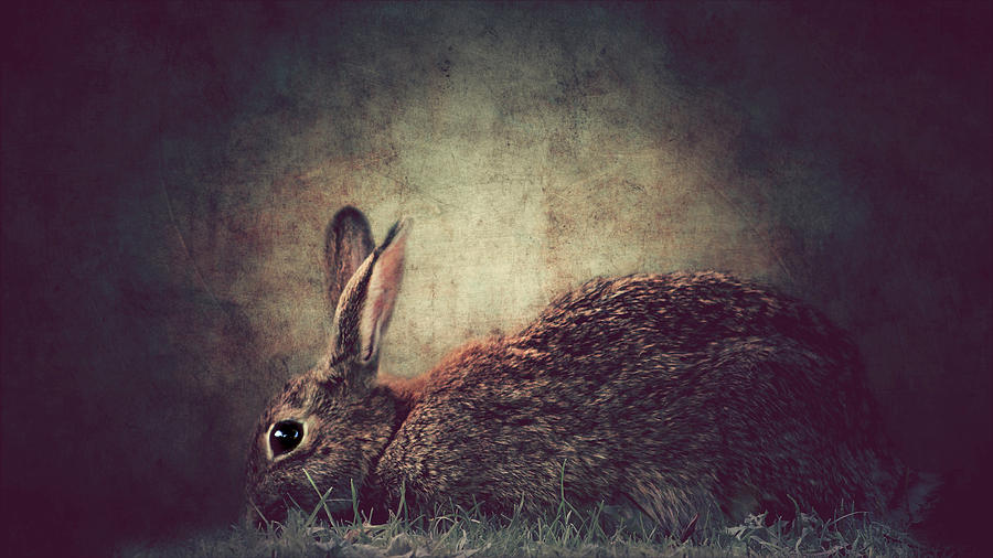 Rabbit Mixed Media - The Rabbit #3 by Heike Hultsch