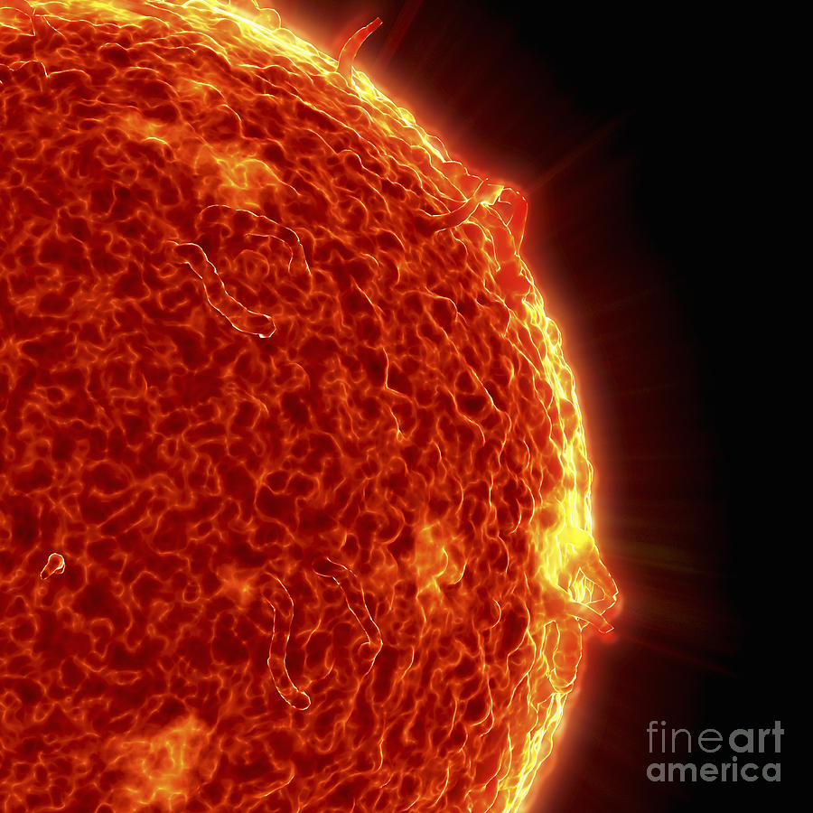 The Sun Photograph by Science Picture Co | Pixels