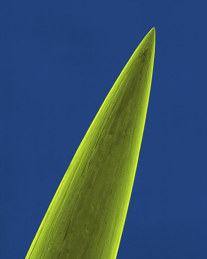 Tip Of A Tattoo Needle #3 Photograph by Dennis Kunkel Microscopy/science Photo Library