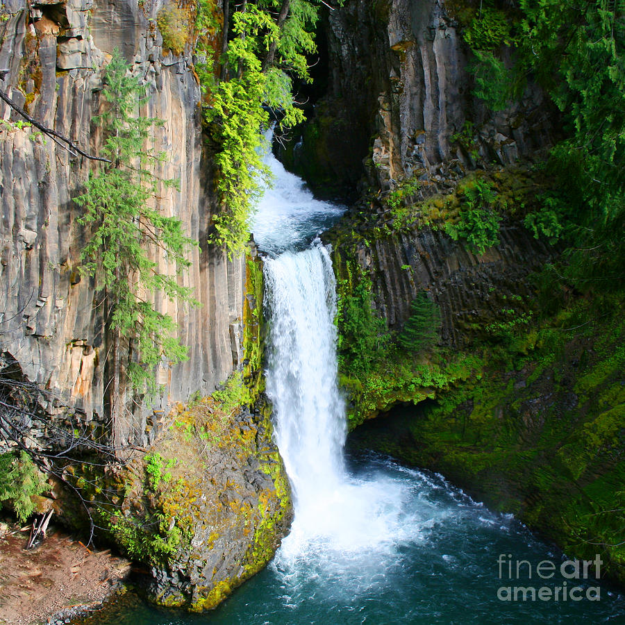 Toketee Falls Photograph by Todd L Thomas