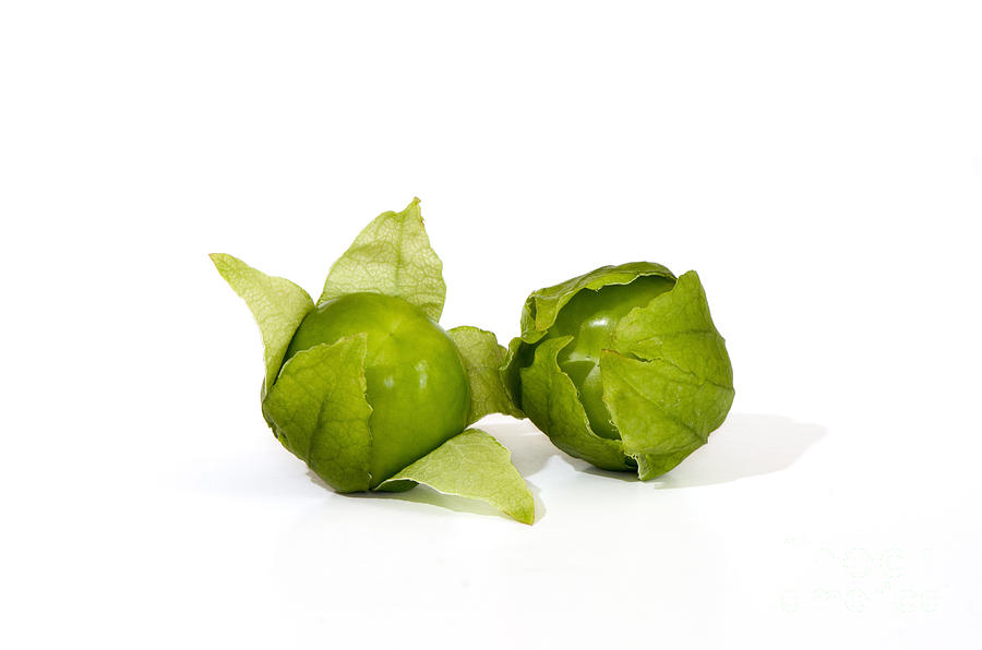 Tomatillo fruit close-up on white background #1 Photograph by Perry Van Munster