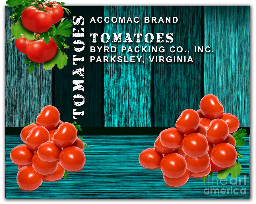 Tomato Farm #3 Mixed Media by Marvin Blaine