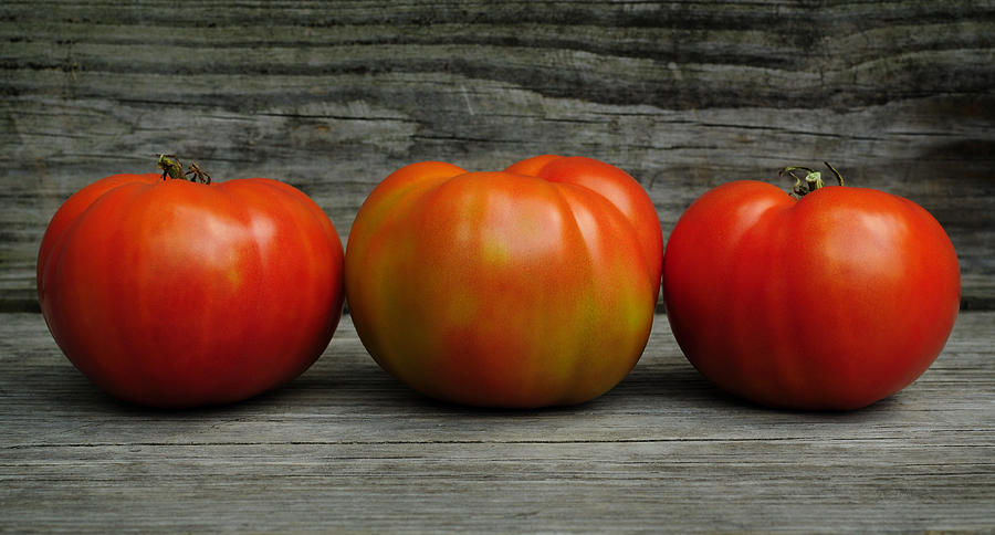 Tomato Photograph - 3 Tomatoes by Luke Moore