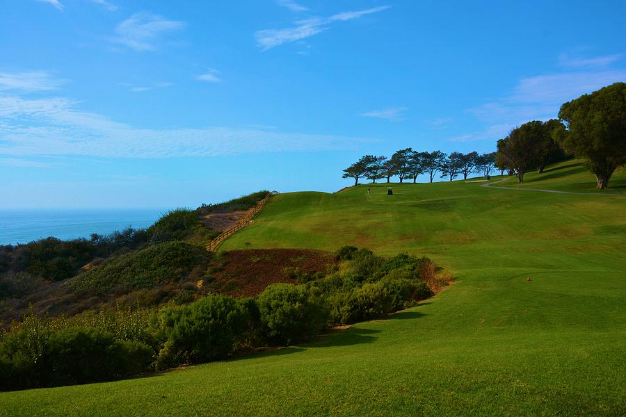 Torrey Pines Golf Photograph by Nancy Jenkins - Fine Art America