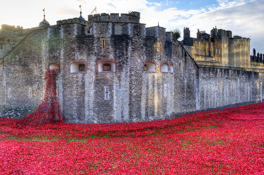 Tower of London Poppies #4 Photograph by Chris Day