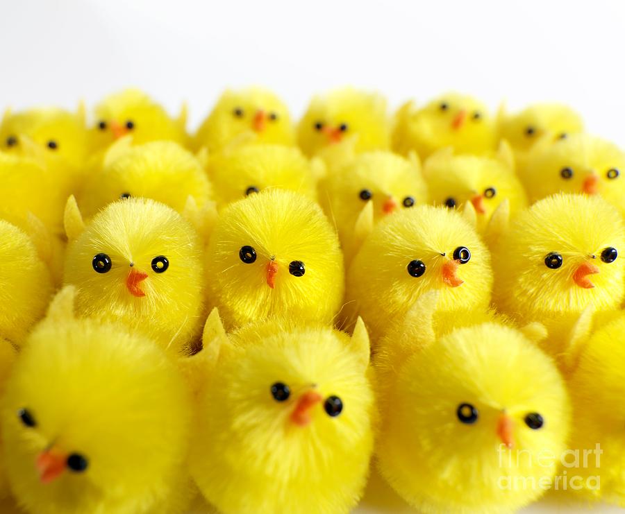 Toy Chicks #4 Photograph by Tek Image