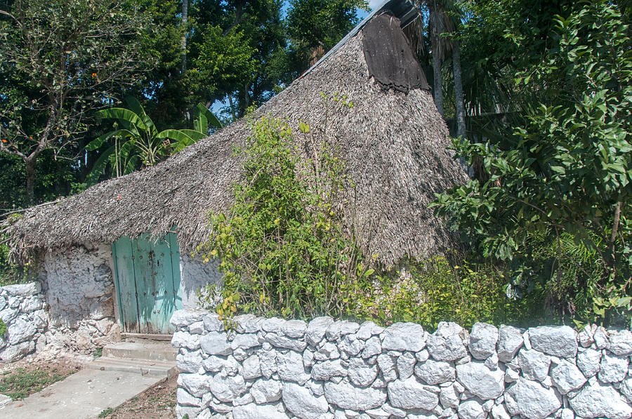 Traditional Mayan Homes in Rural Yucatan  #3 Digital Art by Carol Ailles