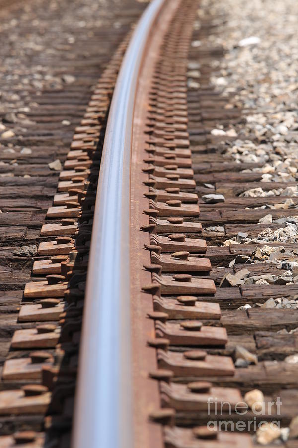Train Track #3 Photograph by Henrik Lehnerer