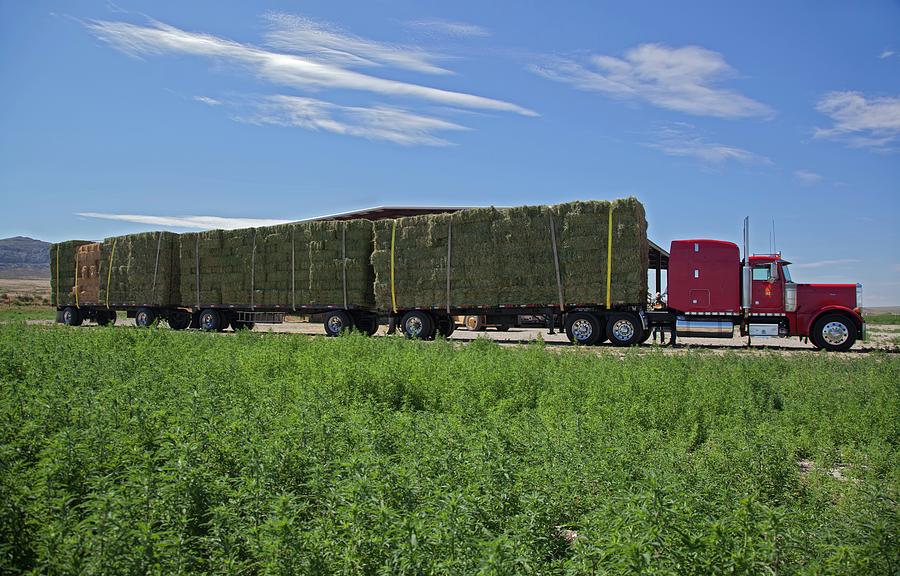 Transporting Bales Of Hay #3 Photograph by Jim West